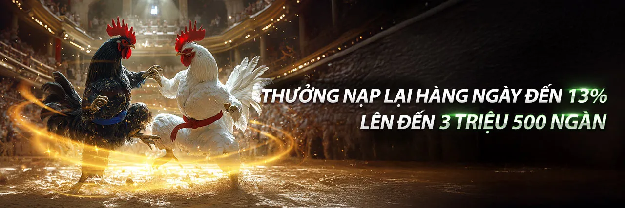 Hình ảnh hỗ trợ khách hàng rich88