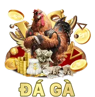 Đá gà rich88